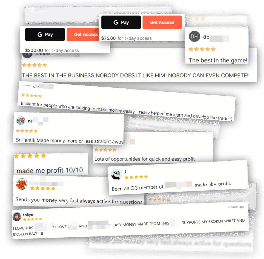 The Hidden Goldmine review - Website Images